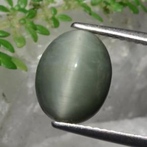 3.36캐럿 천연 녹색 쿼츠 캣츠아이, 타원형 컷, 불투명체