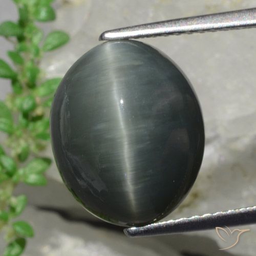 8.57캐럿 천연 어두운 회색 쿼츠 캣츠아이, 타원형 컷, 불투명체