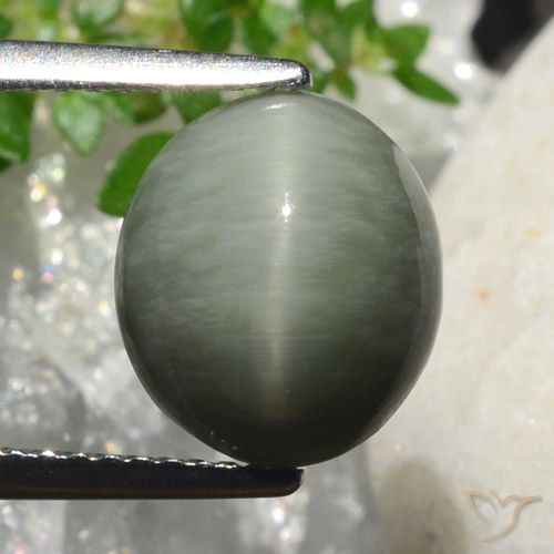 4.18ct 자연스러운 미디엄 그레이 쿼츠 캣츠아이, 타원형, 불투명체