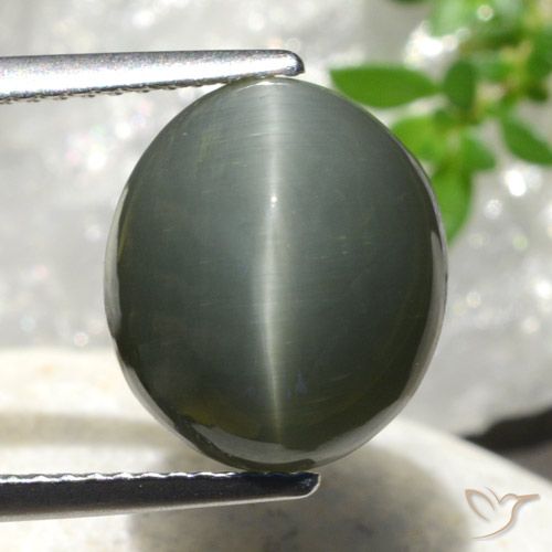 7.44ct 자연스러운 미디엄 그레이 쿼츠 캣츠아이, 타원형, 불투명체