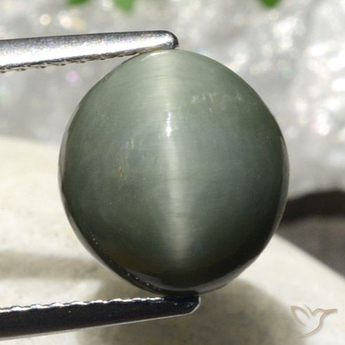 4.86ct 자연스러운 초록빛이 도는 회색 쿼츠 캣츠아이, 타원형, 불투명체