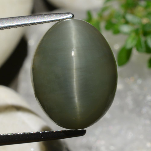 8.34캐럿 천연 따뜻한 녹색 쿼츠 캣츠아이, 타원형 컷, 불투명체