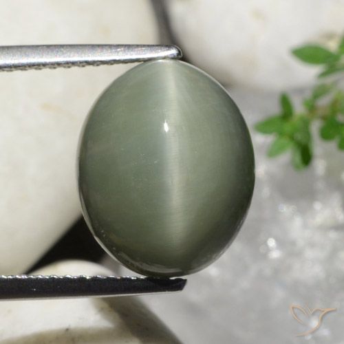 7.32ct 자연스러운 미디엄 그린 쿼츠 캣츠아이, 타원형, 불투명체