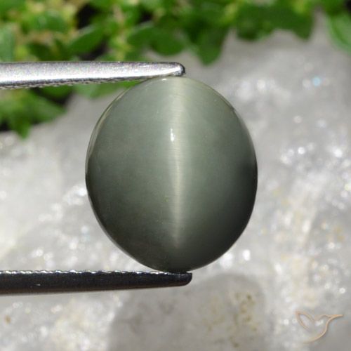 6.02ct 자연스러운 초록빛이 도는 회색 쿼츠 캣츠아이, 타원형, 불투명체