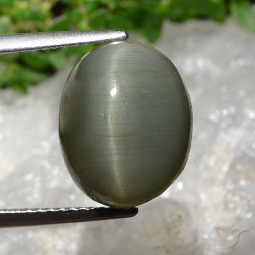 8.13ct 자연스러운 회색 녹색 쿼츠 캣츠아이, 타원형, 불투명체