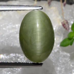 3.88캐럿 천연 미디엄 그린 쿼츠 캣츠아이, 타원형 컷, 불투명체