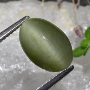 3.88캐럿 천연 미디엄 그린 쿼츠 캣츠아이, 타원형 컷, 불투명체