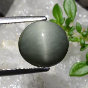 2.83캐럿 천연 미디엄 그레이 쿼츠 캣츠아이, 타원형 컷, 불투명체