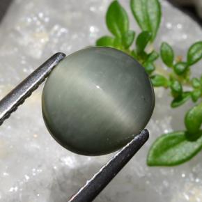 2.83캐럿 천연 미디엄 그레이 쿼츠 캣츠아이, 타원형 컷, 불투명체