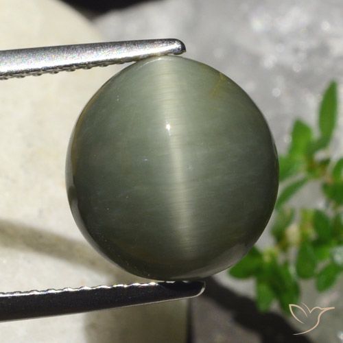6.23ct 자연스러운 따뜻한 녹색 쿼츠 캣츠아이, 타원형, 불투명체