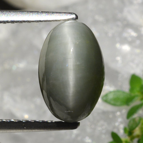 2.99캐럿 천연 미디엄 그레이 쿼츠 캣츠아이, 타원형 컷, 불투명체