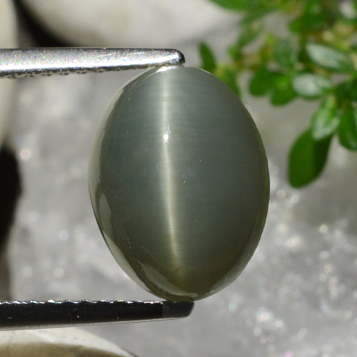 4.96캐럿 천연 초록빛이 도는 회색 쿼츠 캣츠아이, 타원형 컷, 불투명체