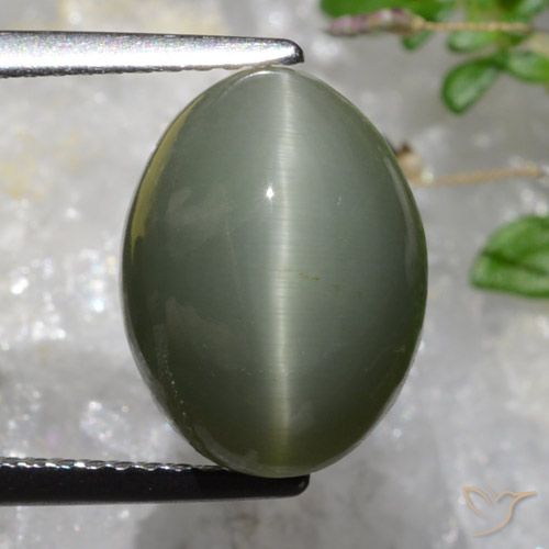 6.37ct 자연스러운 초록빛이 도는 회색 쿼츠 캣츠아이, 타원형, 불투명체