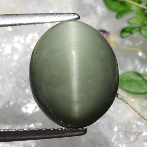5.84ct 자연스러운 회색빛이 도는 모스 그린 쿼츠 캣츠아이, 타원형, 불투명체