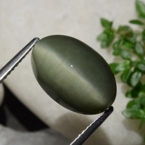 6.44캐럿 천연 흙빛 녹색 쿼츠 캣츠아이, 타원형 컷, 불투명체