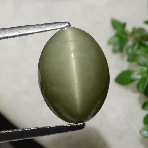 6.21캐럿 천연 따뜻한 녹색 쿼츠 캣츠아이, 타원형 컷, 불투명체