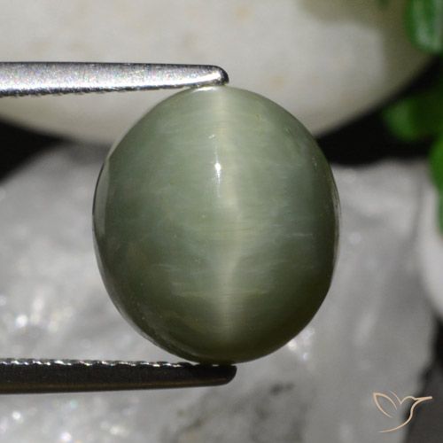 6.79ct 자연스러운 흙빛 녹색 쿼츠 캣츠아이, 타원형, 불투명체