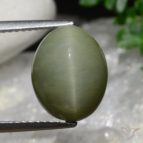 6.34ct 자연스러운 아미 그린 쿼츠 캣츠아이, 타원형, 불투명체