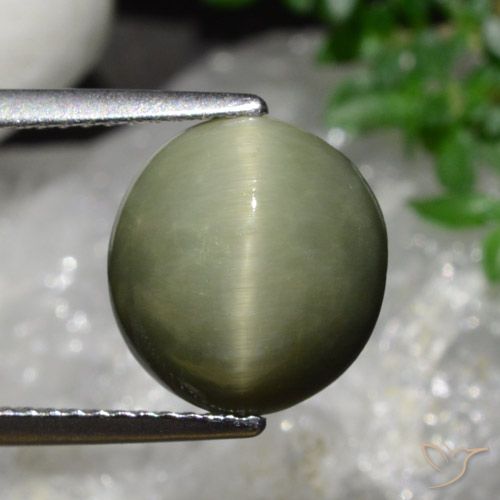 5.58ct 자연스러운 아미 그린 쿼츠 캣츠아이, 타원형, 불투명체