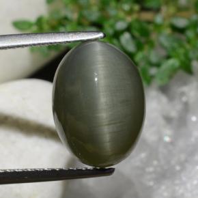 6.97캐럿 천연 흙빛 녹색 쿼츠 캣츠아이, 타원형 컷, 불투명체