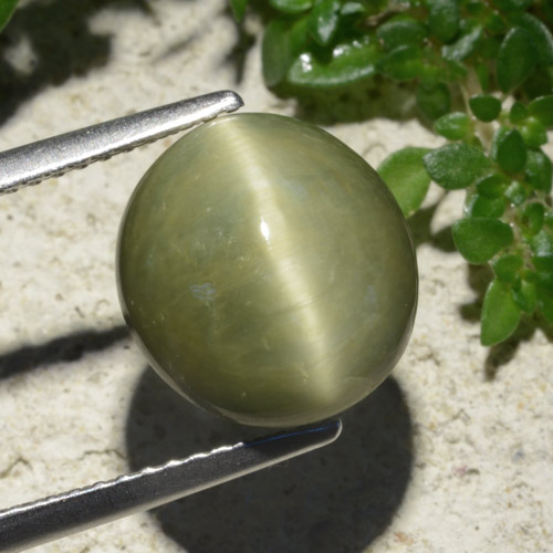 6.19캐럿 천연 따뜻한 녹색 쿼츠 캣츠아이, 타원형 컷, 불투명체