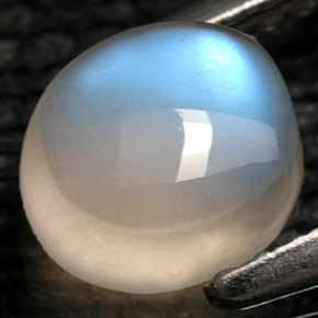 1.09캐럿 천연 화이트 레인보우 문스톤, 투명한, 6×5.1 mm, 투명/반투명