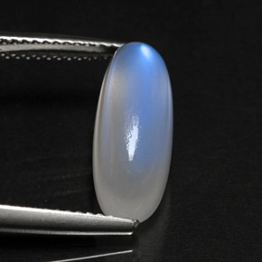 5.16캐럿 천연 블루 화이트 레인보우 문스톤, 투명한, 15.9×6.4 mm, 투명/반투명
