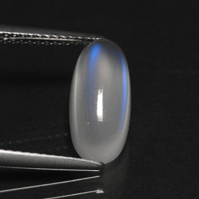 3.29캐럿 천연 블루 화이트 레인보우 문스톤, 투명한, 13.4×6.1 mm, 투명/반투명