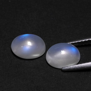 캐럿 천연 블루 화이트 레인보우 문스톤 보석, 투명한, 8.5×6.4 mm, 투명/반투명
