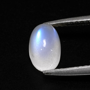 1.78캐럿 천연 블루 화이트 레인보우 문스톤, 투명한, 7.6×5.8 mm, 투명/반투명