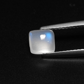 1.08캐럿 천연 블루 화이트 레인보우 문스톤, 투명한, 6×5.7 mm, 투명/반투명