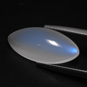 5.97캐럿 천연 블루 화이트 레인보우 문스톤, 투명한, 19.2×9 mm, 투명/반투명