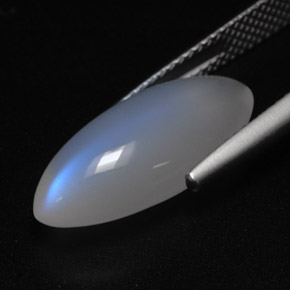 5.97캐럿 천연 블루 화이트 레인보우 문스톤, 투명한, 19.2×9 mm, 투명/반투명