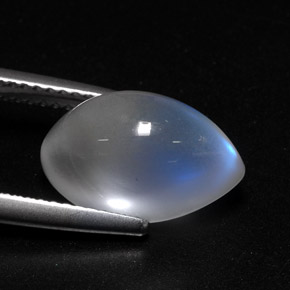 6.27캐럿 천연 블루 화이트 레인보우 문스톤, 투명한, 13.9×8.4 mm, 투명/반투명