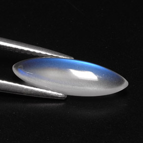 2.14캐럿 천연 블루 화이트 레인보우 문스톤, 투명한, 16.5×5.1 mm, 투명/반투명