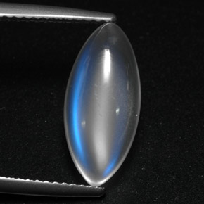 3.91캐럿 천연 블루 화이트 레인보우 문스톤, 투명한, 15.3×7.1 mm, 투명/반투명