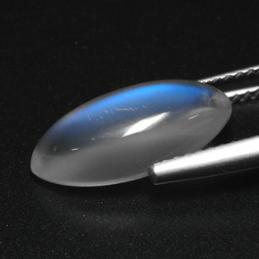 3.91캐럿 천연 블루 화이트 레인보우 문스톤, 투명한, 15.3×7.1 mm, 투명/반투명