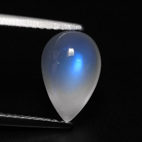 2.99캐럿 천연 블루 화이트 레인보우 문스톤, 투명한, 11×7.2 mm, 투명/반투명