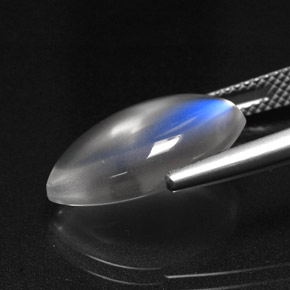 6.99캐럿 천연 블루 화이트 레인보우 문스톤, 투명한, 투명/반투명