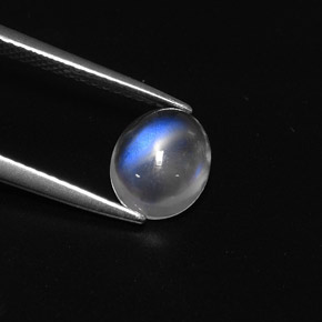 1.57캐럿 천연 블루 화이트 레인보우 문스톤, 타원형 컷, 8.8×7.1 mm, 투명한