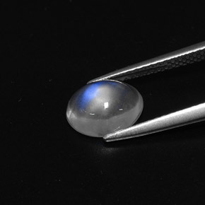 1.57캐럿 천연 블루 화이트 레인보우 문스톤, 타원형 컷, 8.8×7.1 mm, 투명한