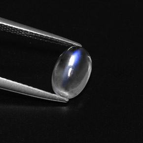 1.50캐럿 천연 블루 화이트 레인보우 문스톤, 타원형 컷, 9.3×5.8 mm, 투명한