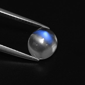 2.42캐럿 천연 블루 화이트 레인보우 문스톤, 타원형 컷, 8.9×7.9 mm, 투명한
