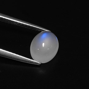 2.23캐럿 천연 블루 화이트 레인보우 문스톤, 타원형 컷, 8.9×7 mm, 투명한