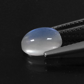 1.41캐럿 천연 블루 화이트 레인보우 문스톤, 타원형 컷, 8×5.9 mm, 투명한