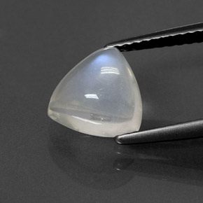 1.85캐럿 천연 블루 화이트 레인보우 문스톤, 트릴리언, 8.4×8.2 mm, 투명한