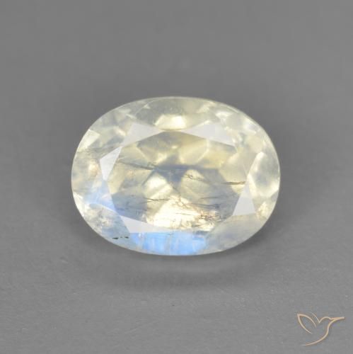 1.52ct 자연스러운 푸르스름한 흰색 레인보우 문스톤, 타원형, 투명한