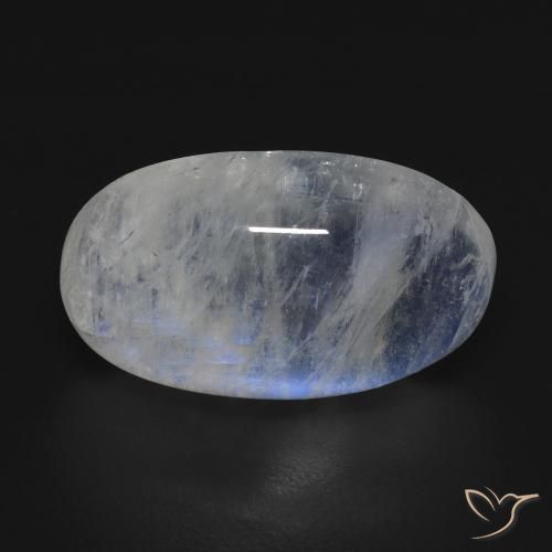 12.73ct 자연스러운 푸르스름한 흰색 레인보우 문스톤, 타원형, 투명한