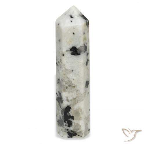 48.76ct 자연스러운 블랙과 화이트 레인보우 문스톤, 팬시한, 불투명체