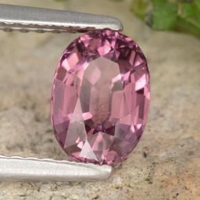 1.42캐럿 천연 라즈베리 레드 로돌라이트 가넷, 타원형 컷, VVS-VS